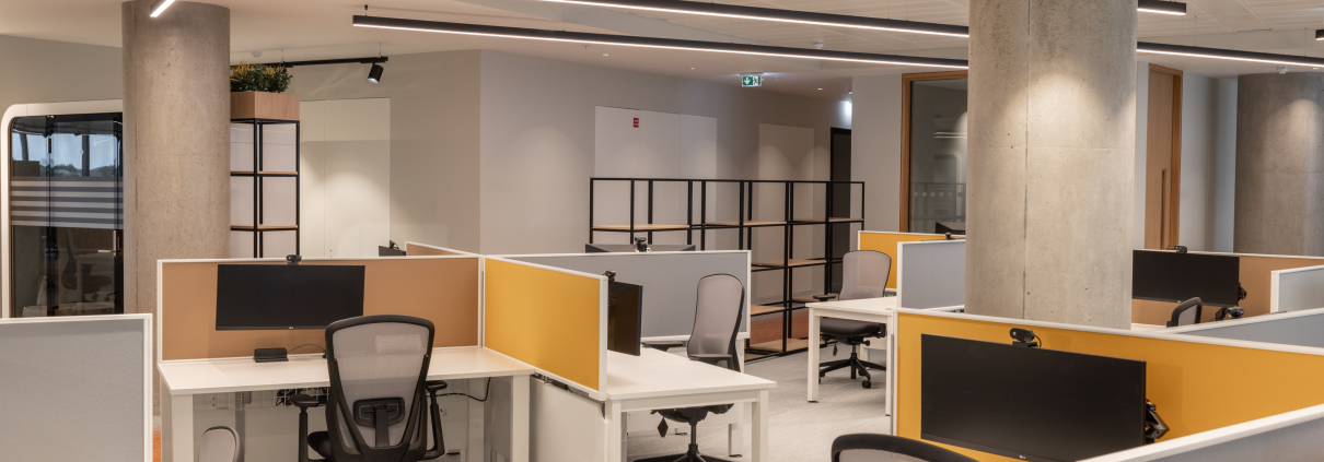 Ceilings & Partitions